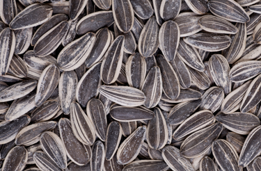 Sunflower Seeds