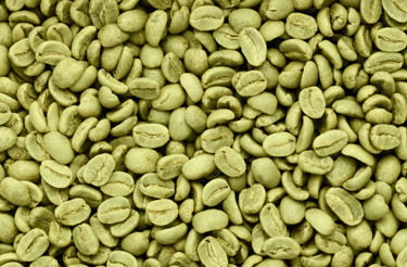 Green Coffee Beans